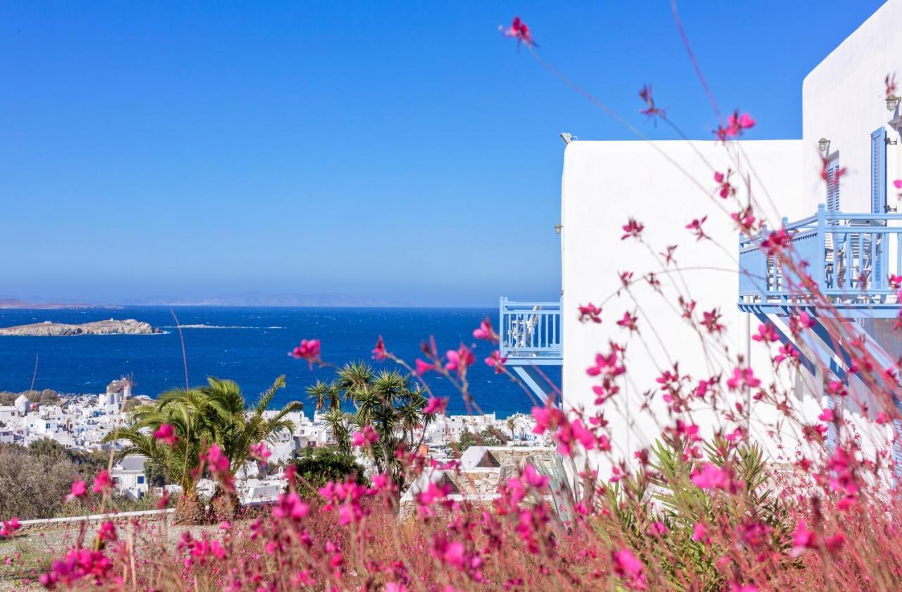 Vencia Boutique Hotel 4*