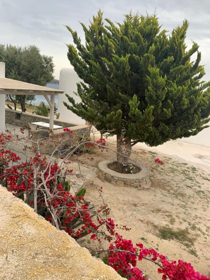 Holiday home The Elaia House Mykonos