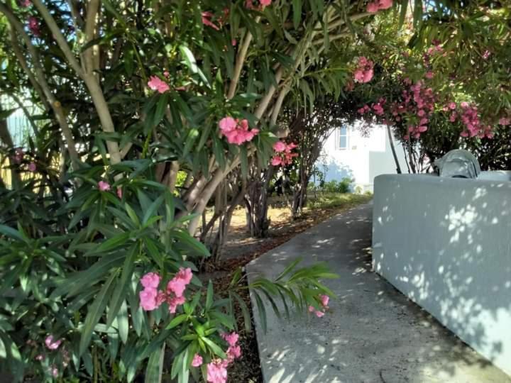 Apartment Fino Megali Ammos (Mykonos)