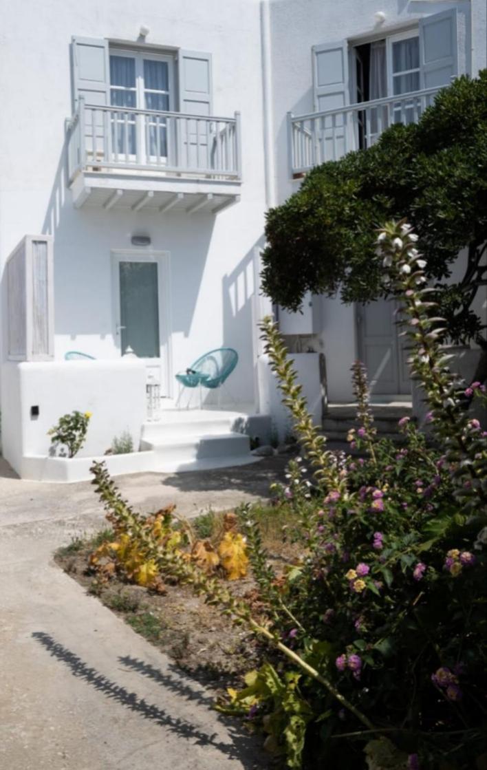 Apartment Fino