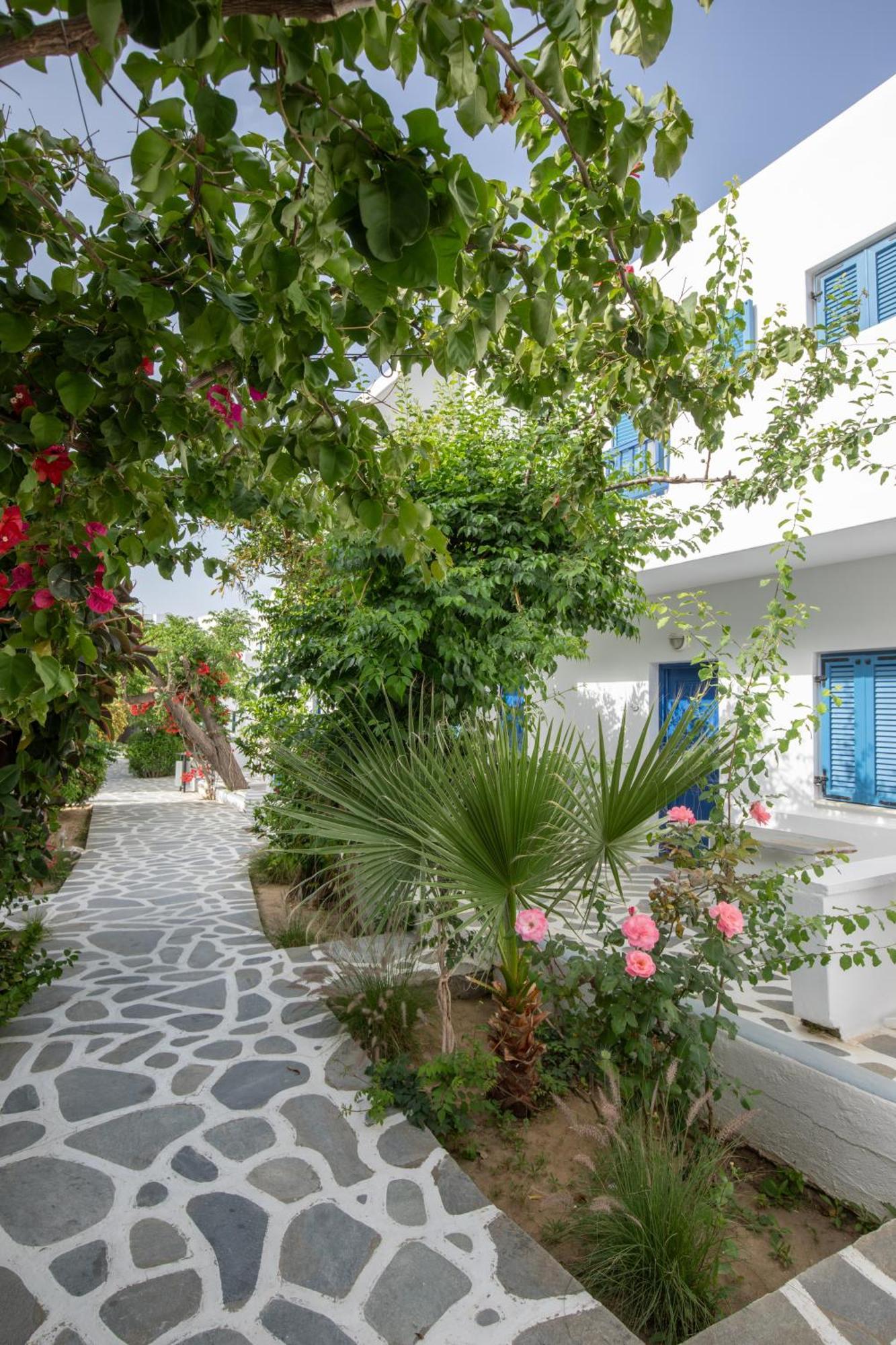 Acrogiali Beachfront Mykonos