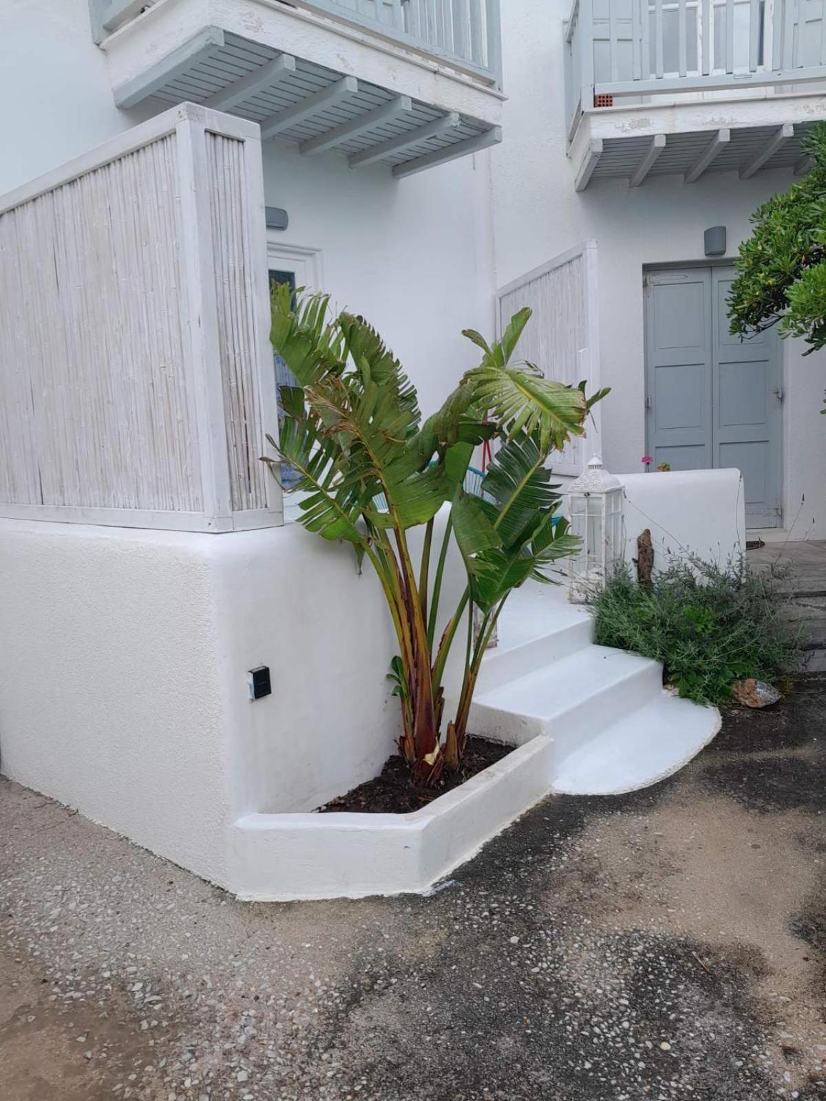 Fino Apartment Megali Ammos (Mykonos)