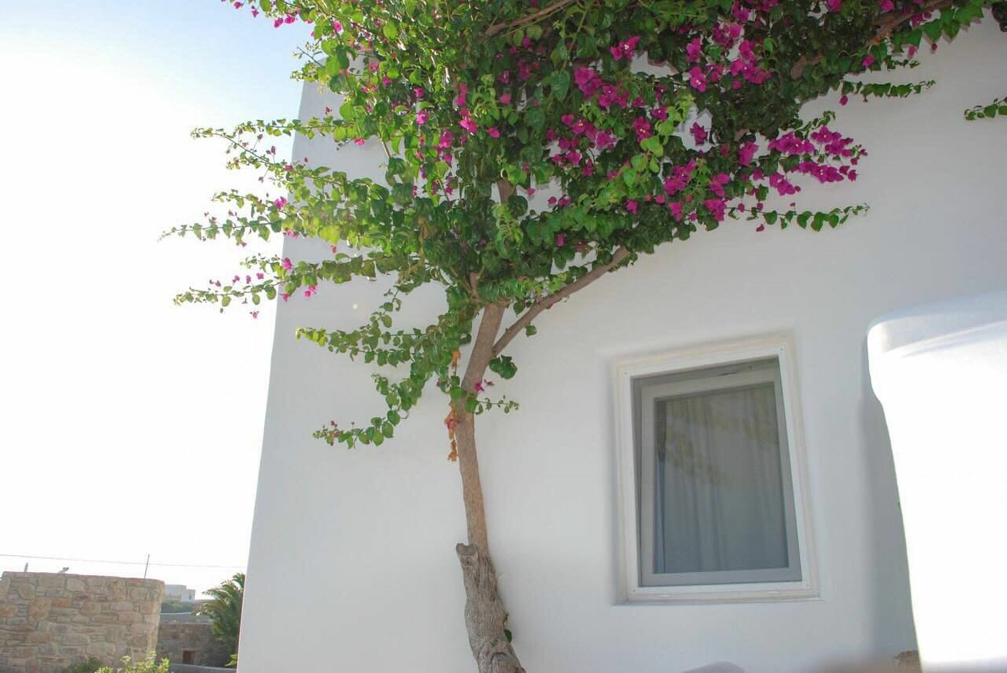 Apartment Aletro
