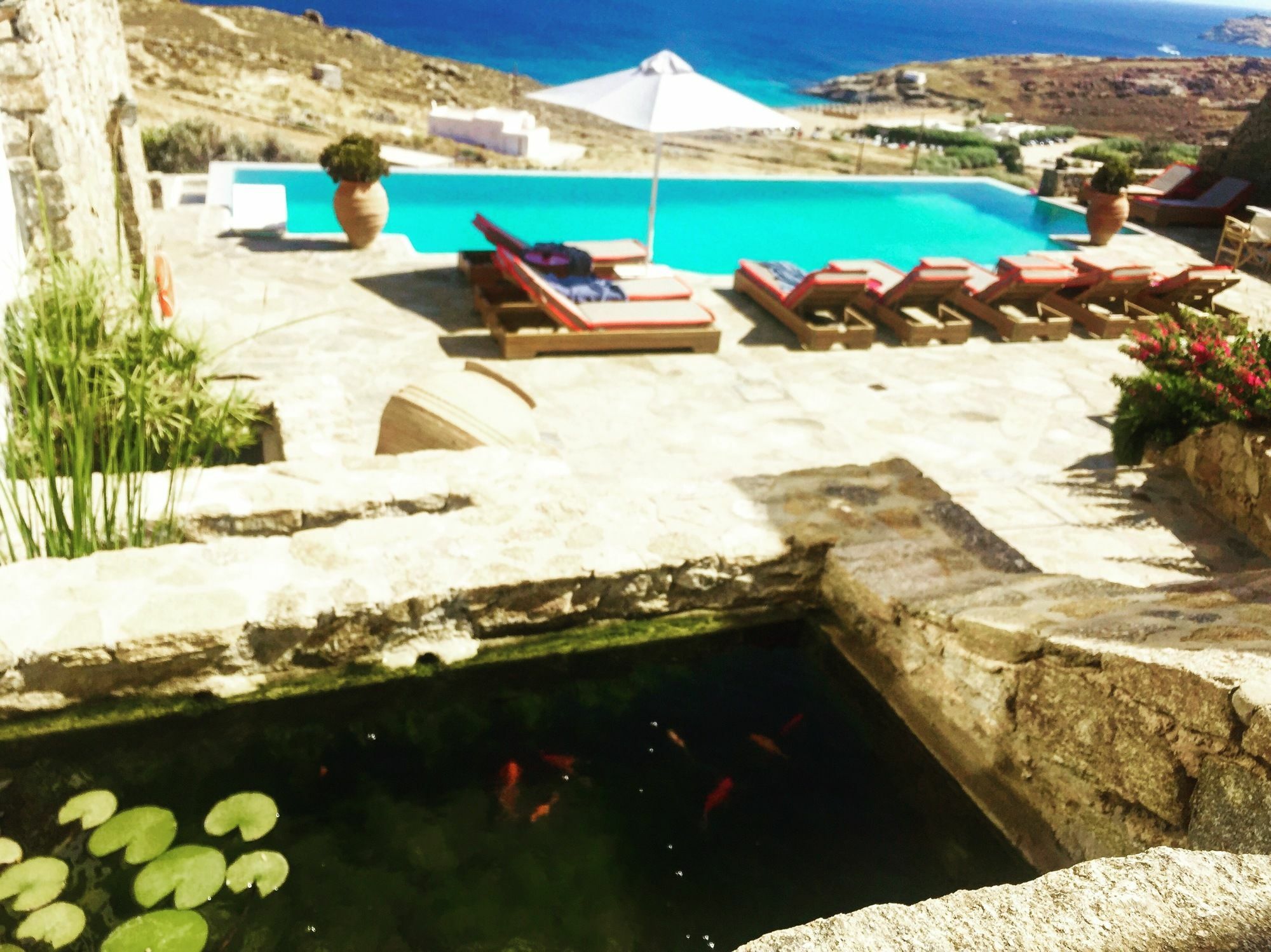 Nautilia - Luxury And Hotel