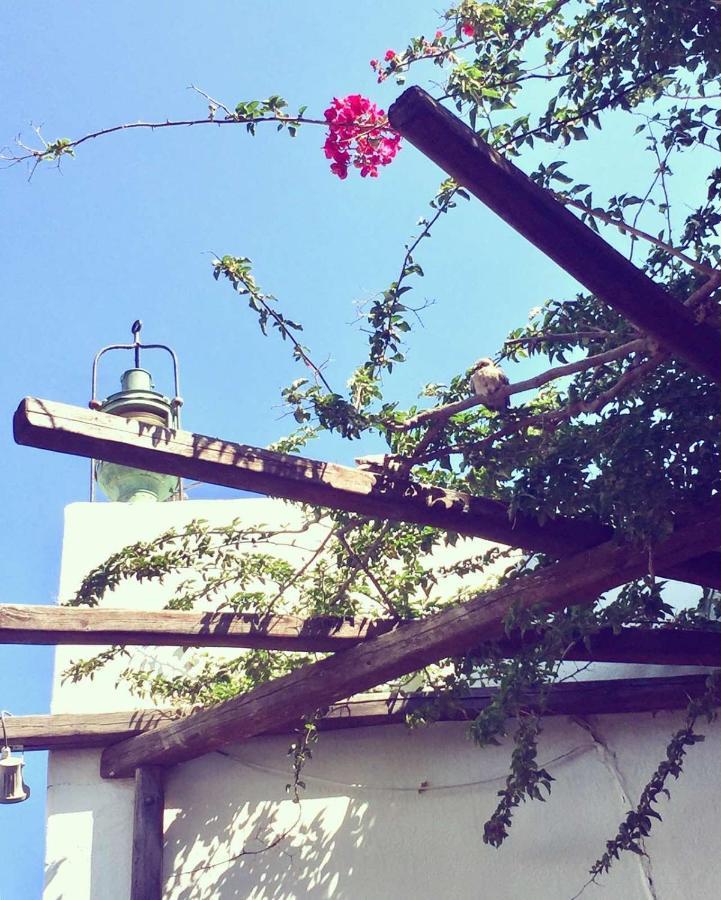 Aparthotel Rania Sea View