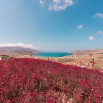 Mega Mansions Mykonos