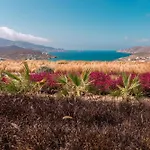 Mega Mansions Mykonos