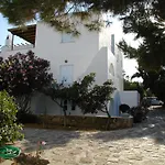 Elenis Studio