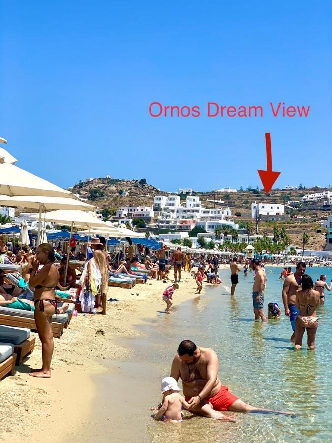 Dream View
