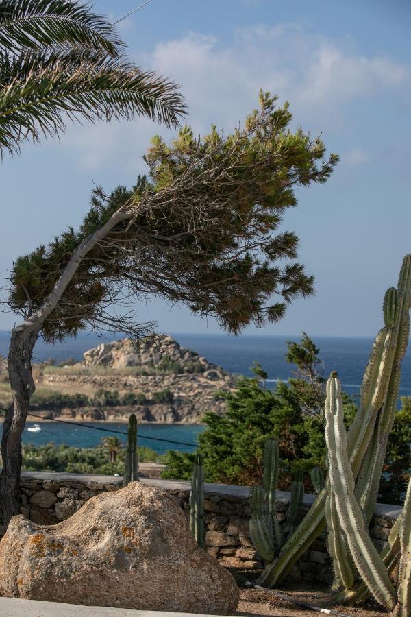 Seethrough Mykonos (adults Only) Aparthotel 4*