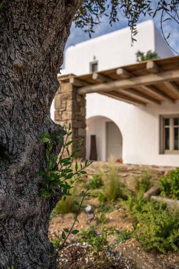 Mykonos Ag In Villa *