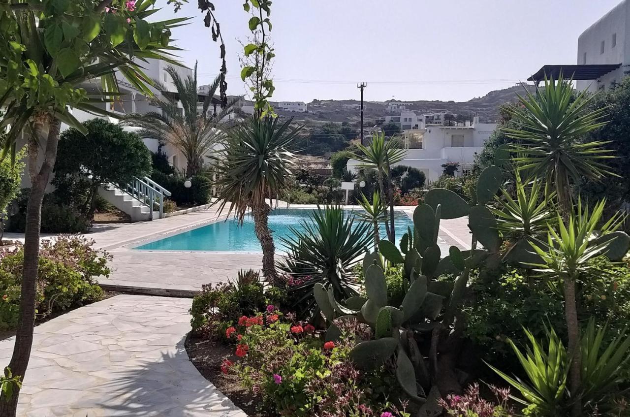 Ariadne Pool At Ornos (Mykonos)
