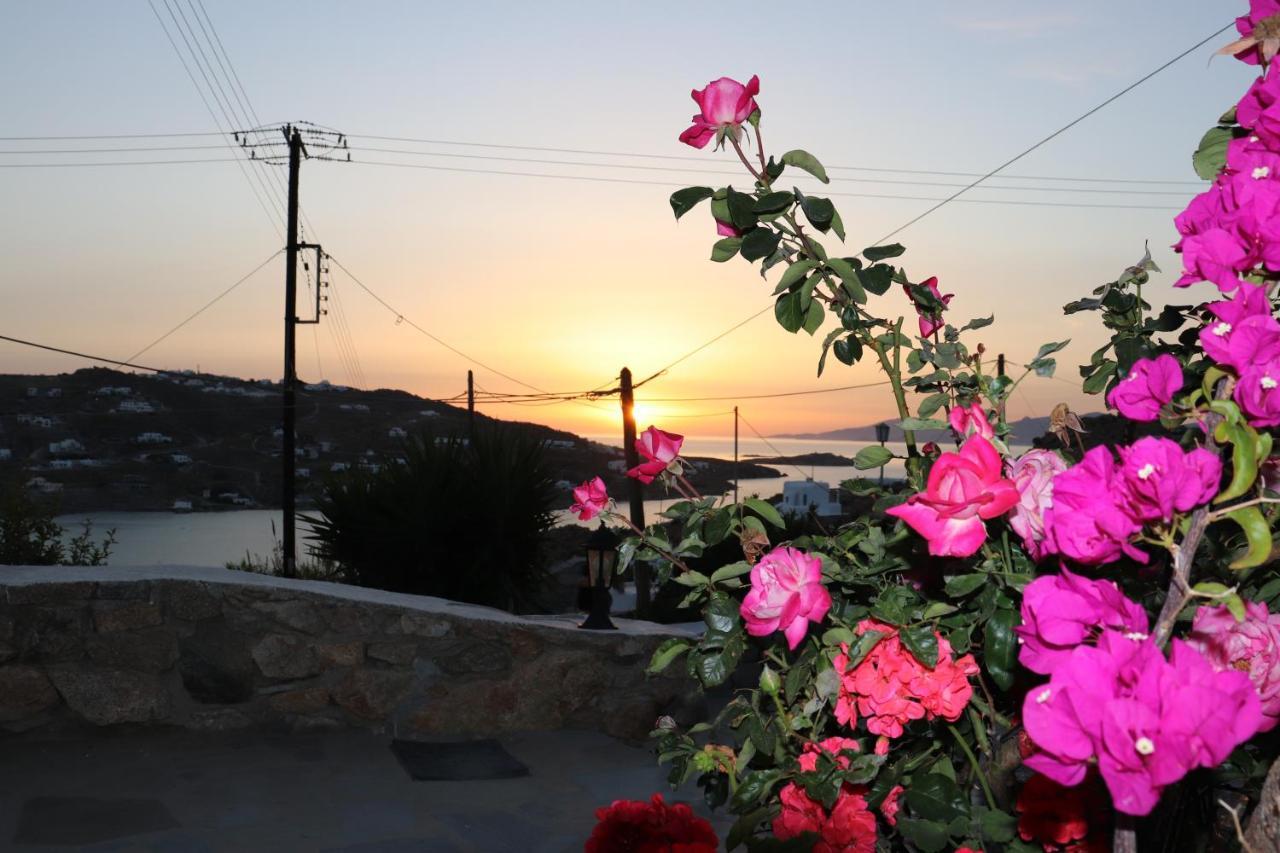 Eldimar Studio Mykonos Town