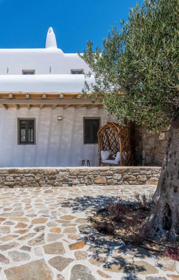 Villa Mykonos Ag In Ftelia (Mykonos)