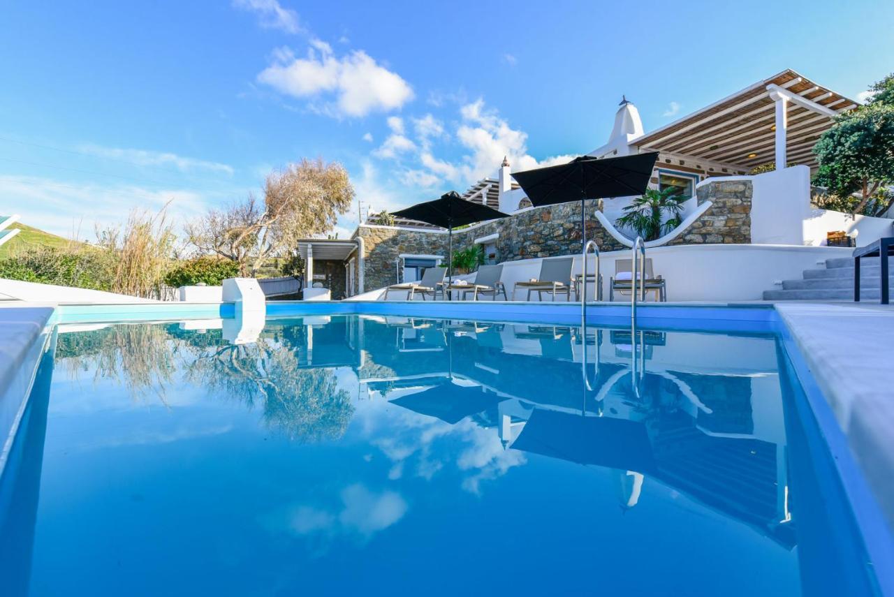 Paradise - Irina's Oasis * Ftelia (Mykonos)