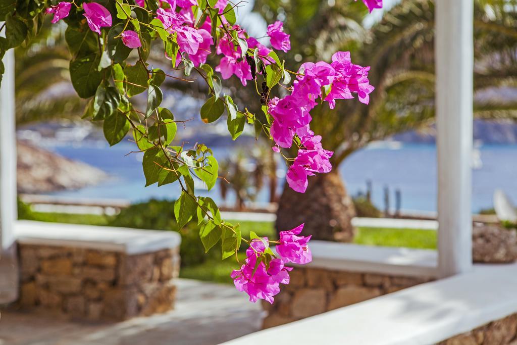 Sea View Hotel