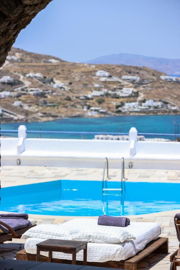 Mykonos In White Villa Mykonos Town
