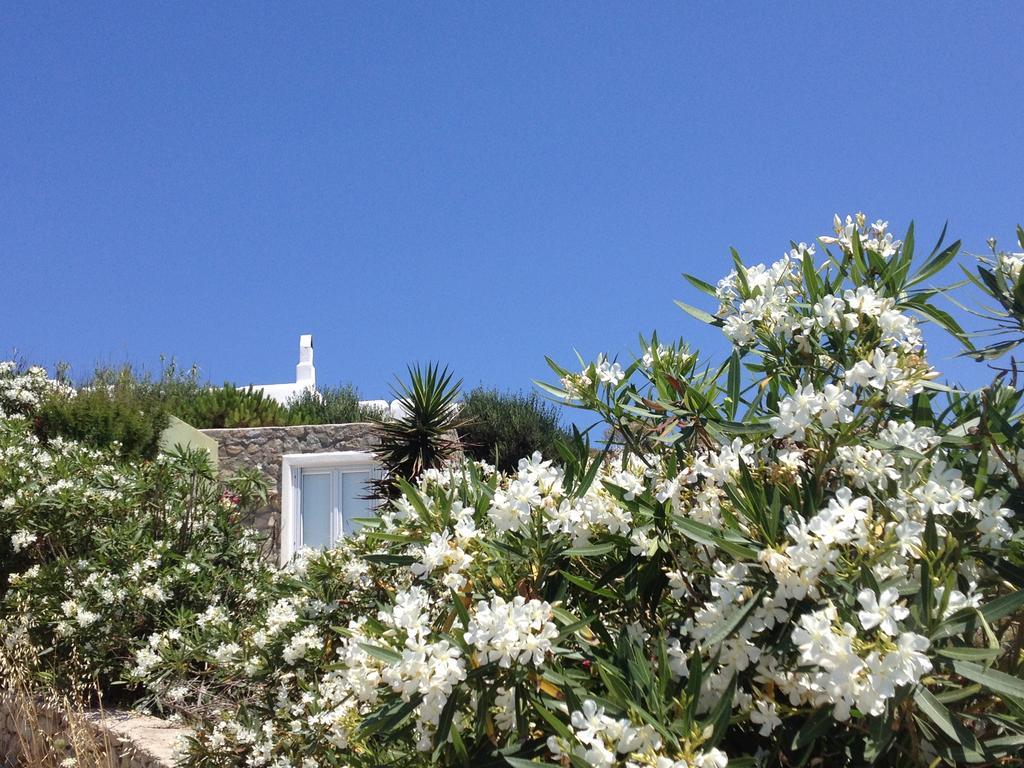 Apartment Mykonos Nest