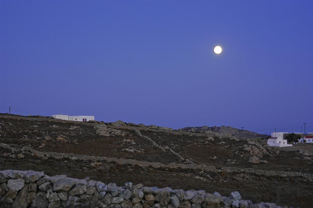 Halara *