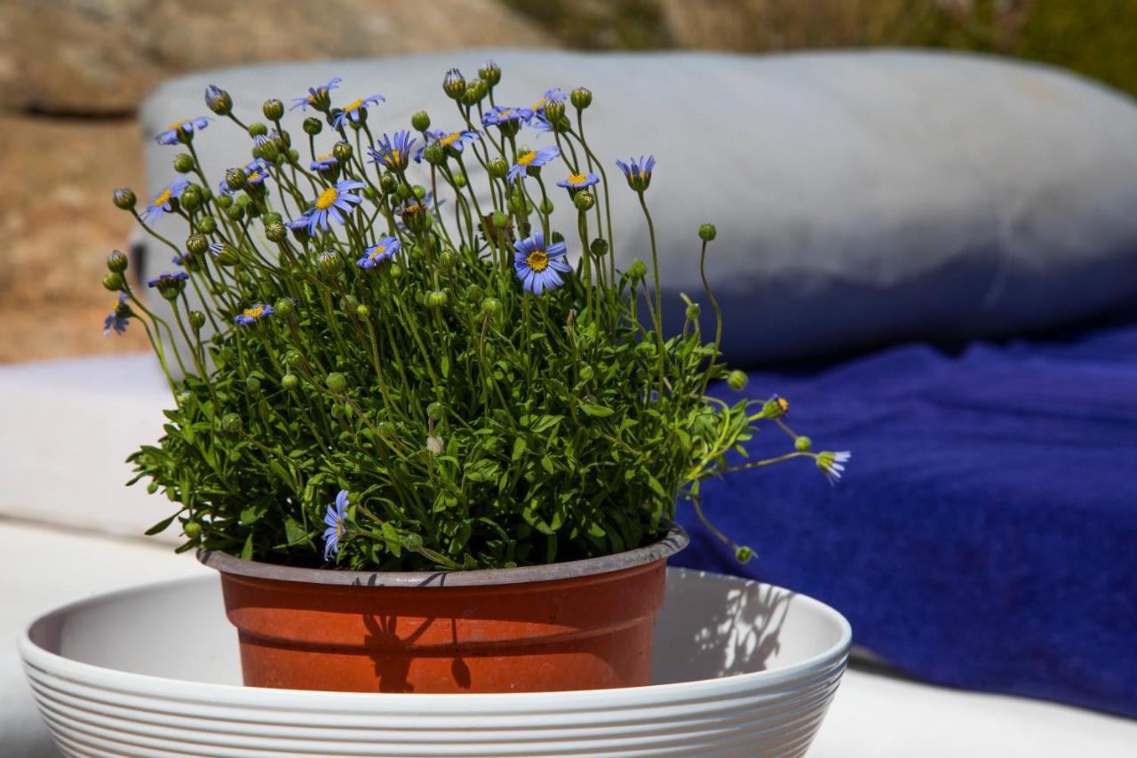 Mykonos-ornos -vilas Angel Alice Demi -pool Holidays With View * Mykonos Town