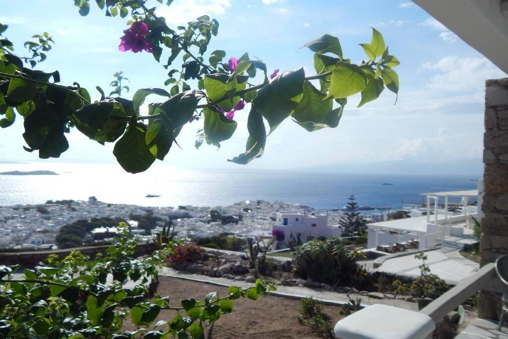 Magnolia,3bedrooms,great View. *