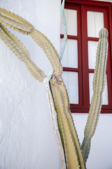 Apartment Mooi Boni's Mykonos Town