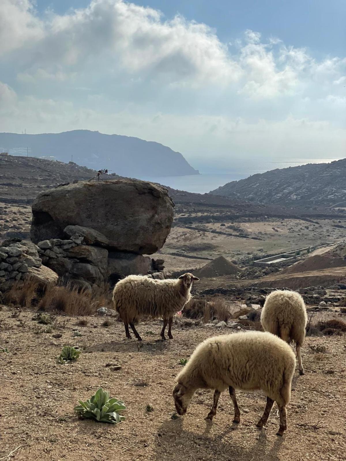 Holiday home Kato Spiti, An Idyllic Retreat, Mykonos Mykonos Town