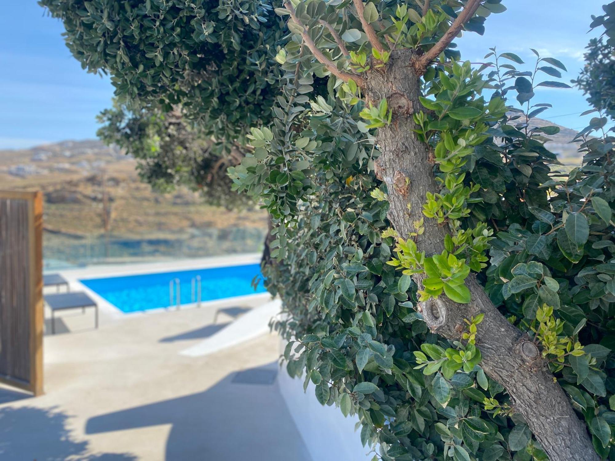 Paradise - Irina's Oasis Ftelia (Mykonos)