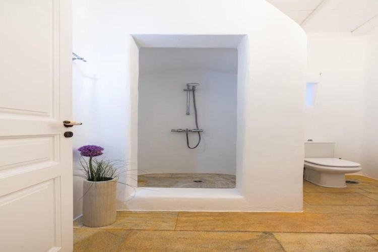 Stunning Surrounded By Lush Greenery Villa Agrari (Mykonos)