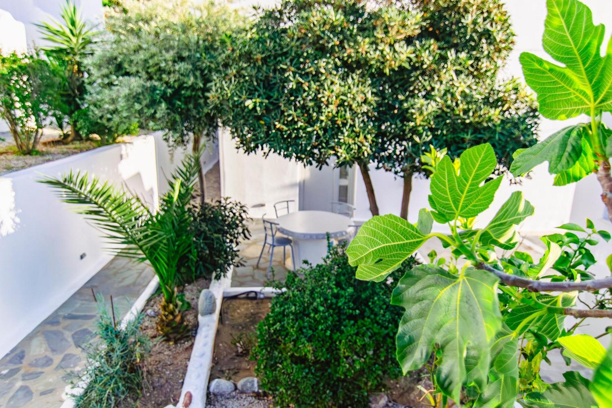Zisis Guest house *
