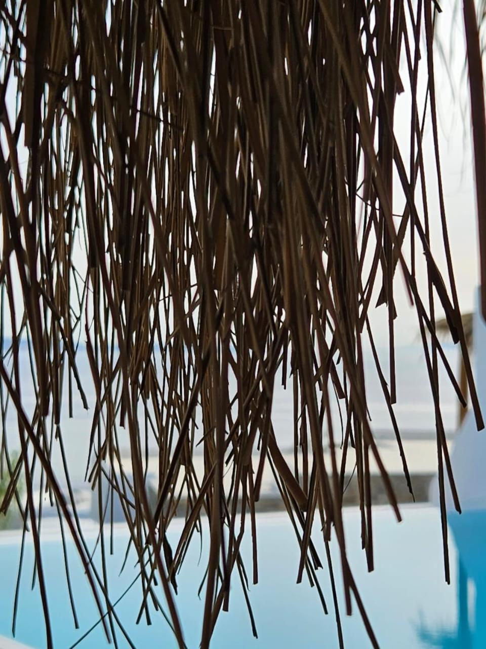Elli Tropical Aparthotel Mykonos Town