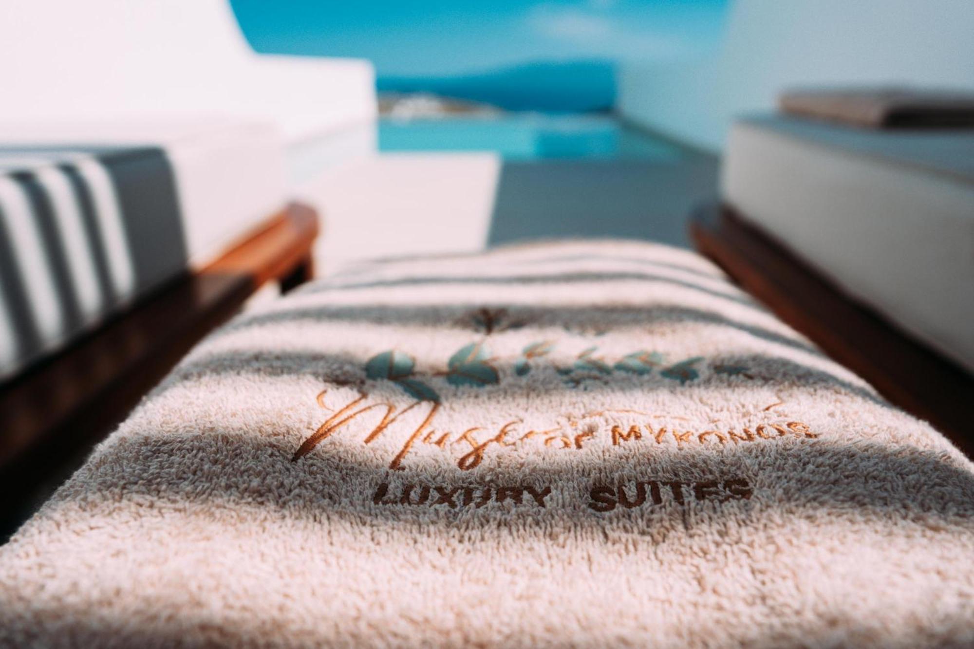 Muse Of Mykonos Luxury Hotel