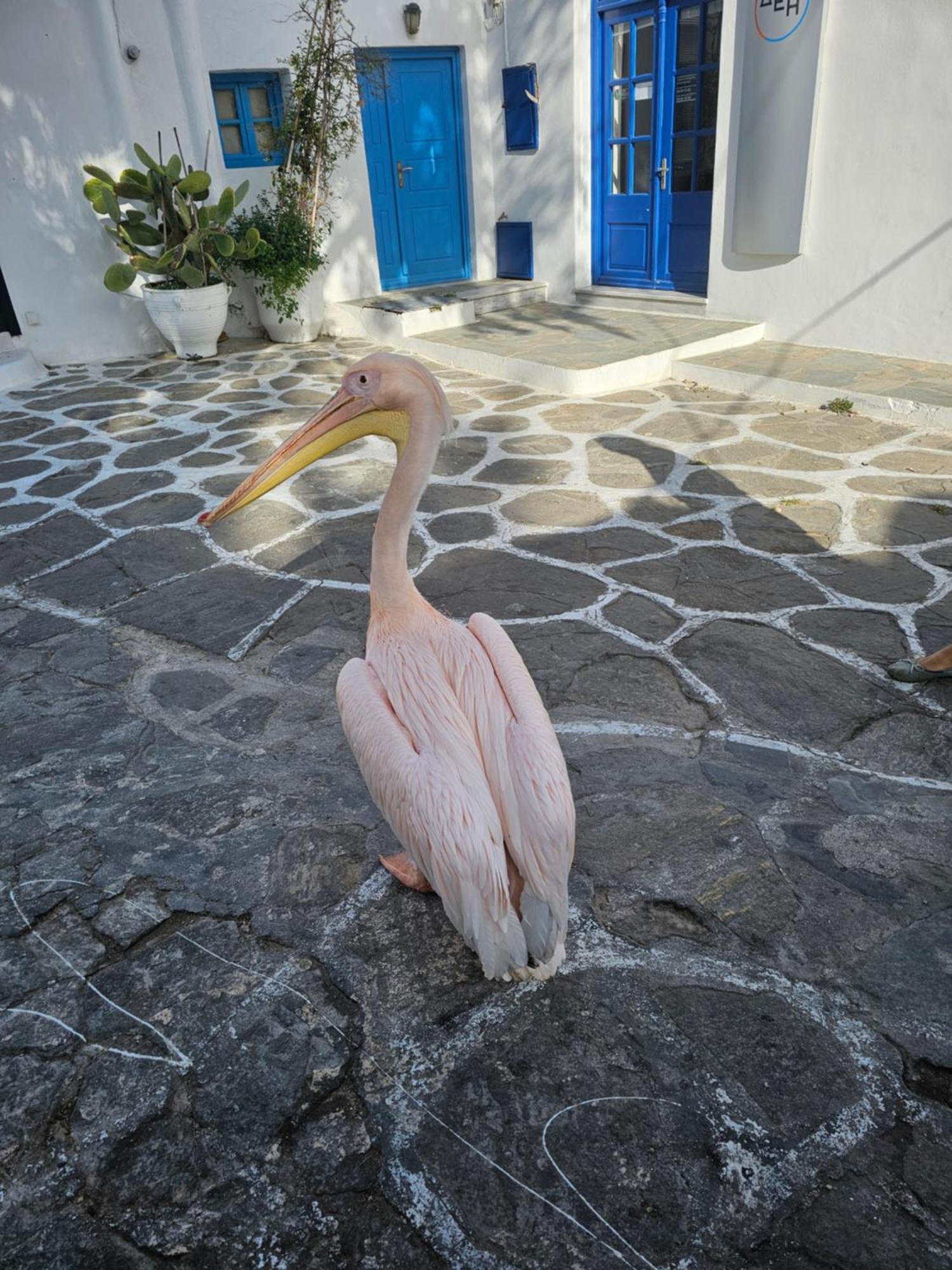 Apartment Onyx Mykonos Town