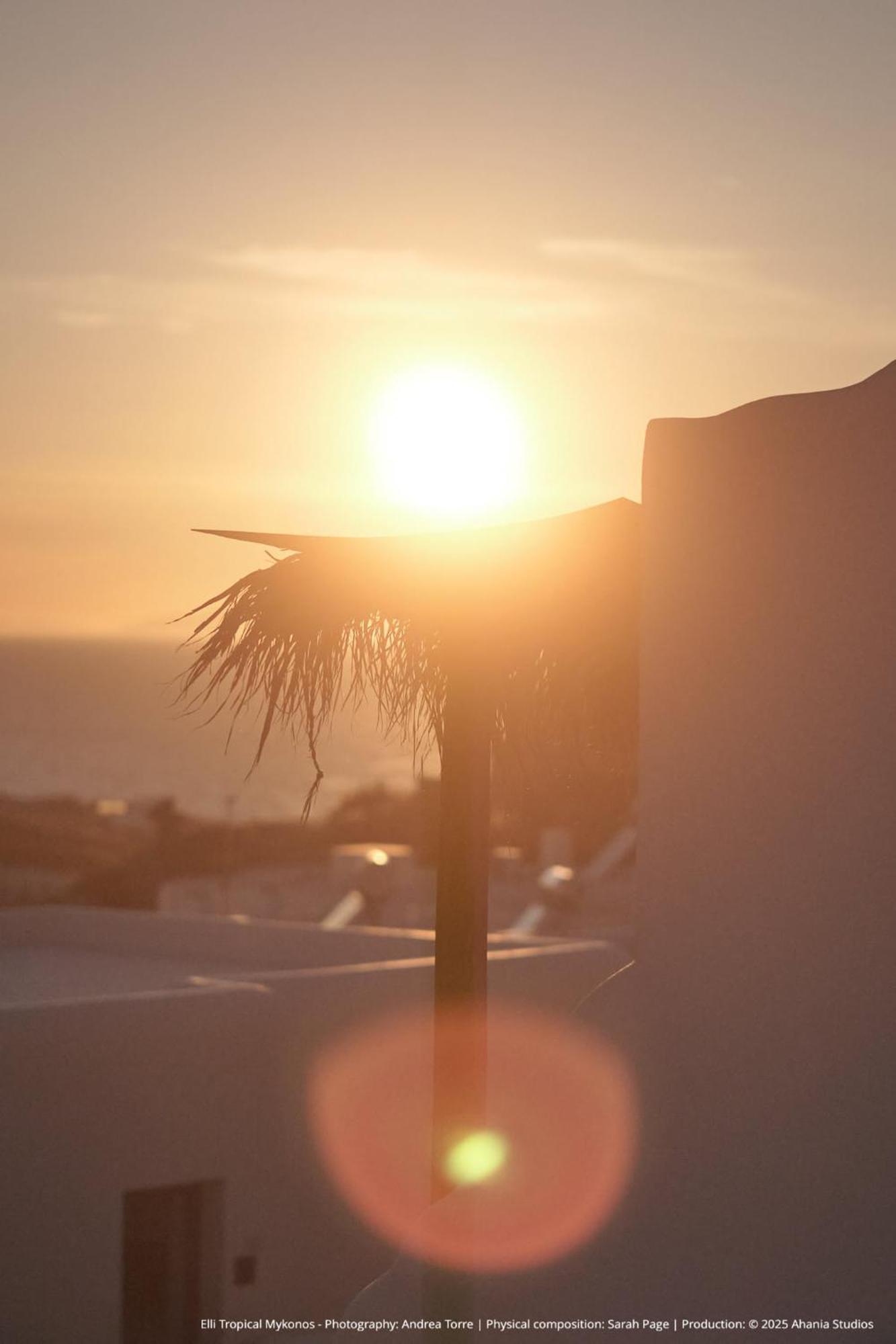 Elli Tropical Aparthotel *