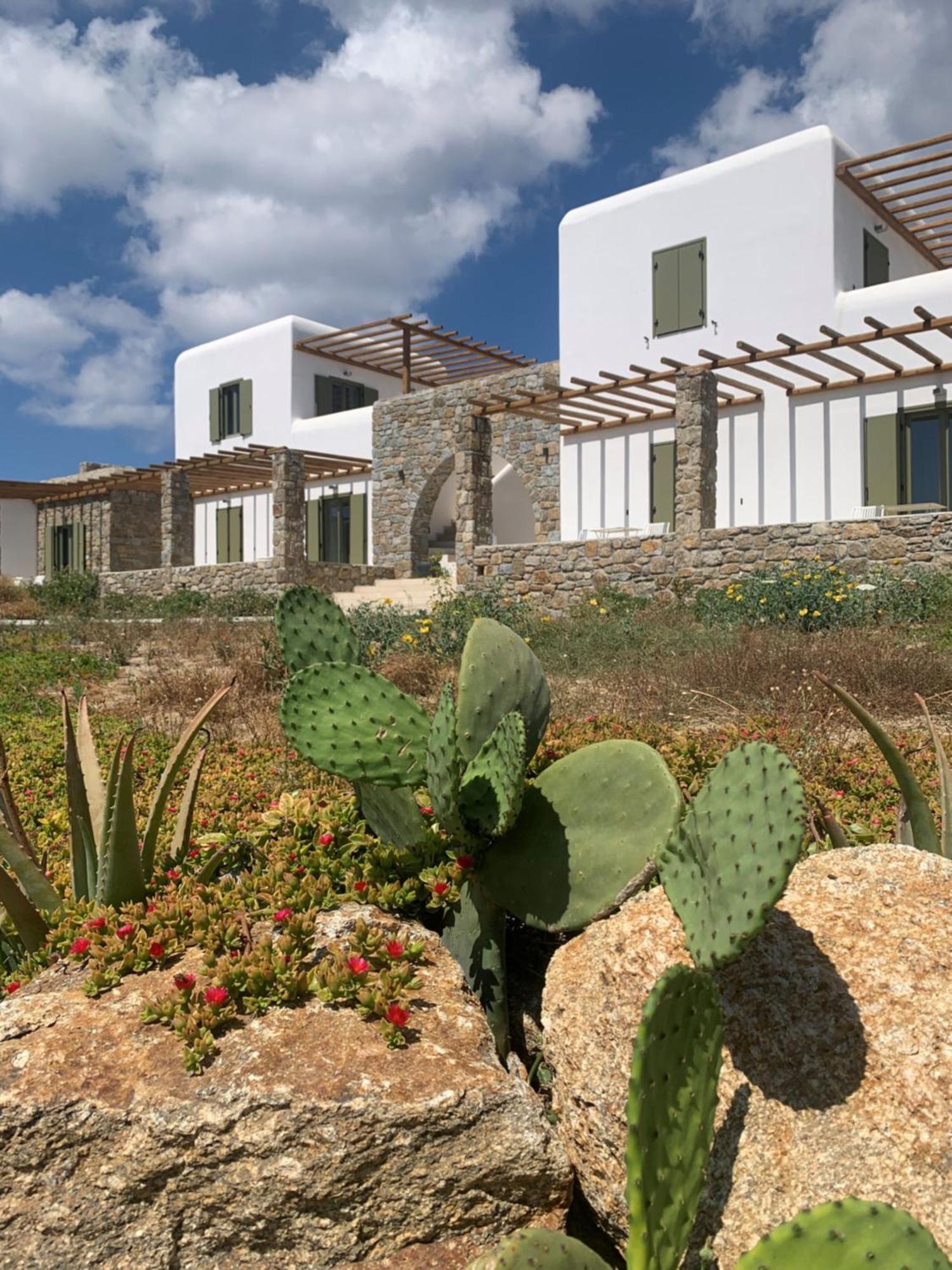 Alirene Mykonos * Panormos (Mykonos)