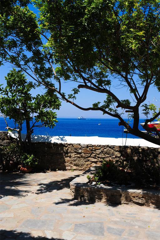 Guest house Asimina