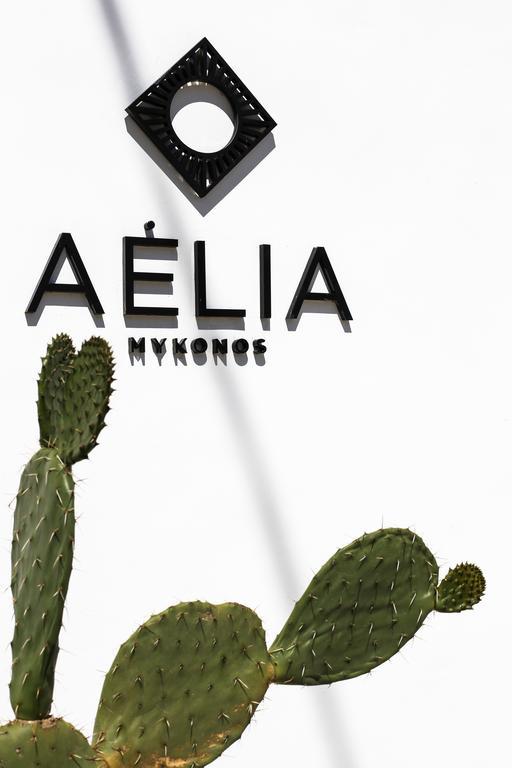 Aelia Mykonos Ornos (Mykonos)