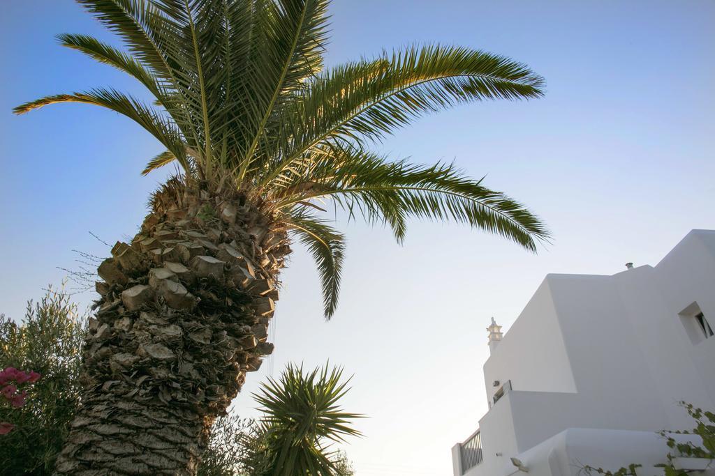 Anna-maria Mykonos 3* Glastros (Mykonos)