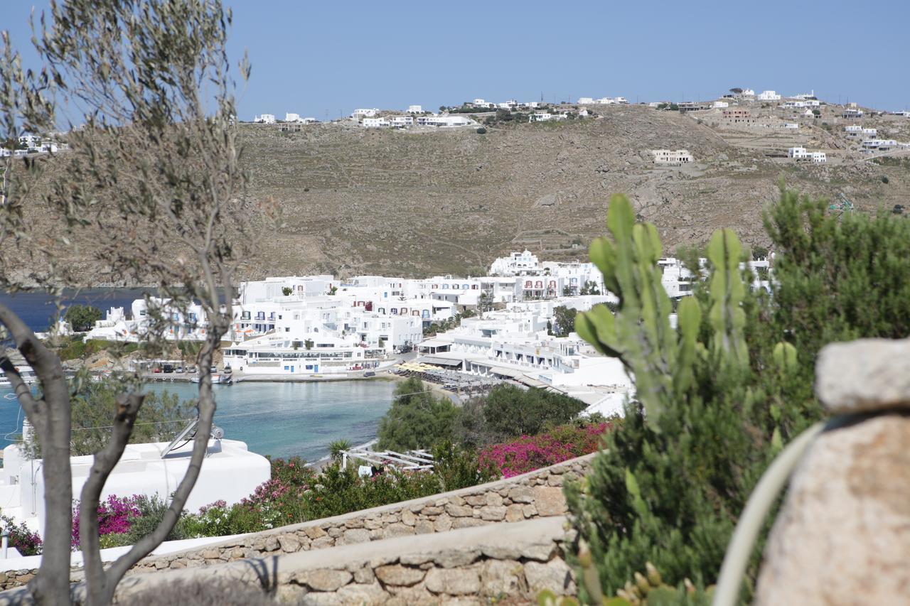 Seethrough Mykonos (adults Only)