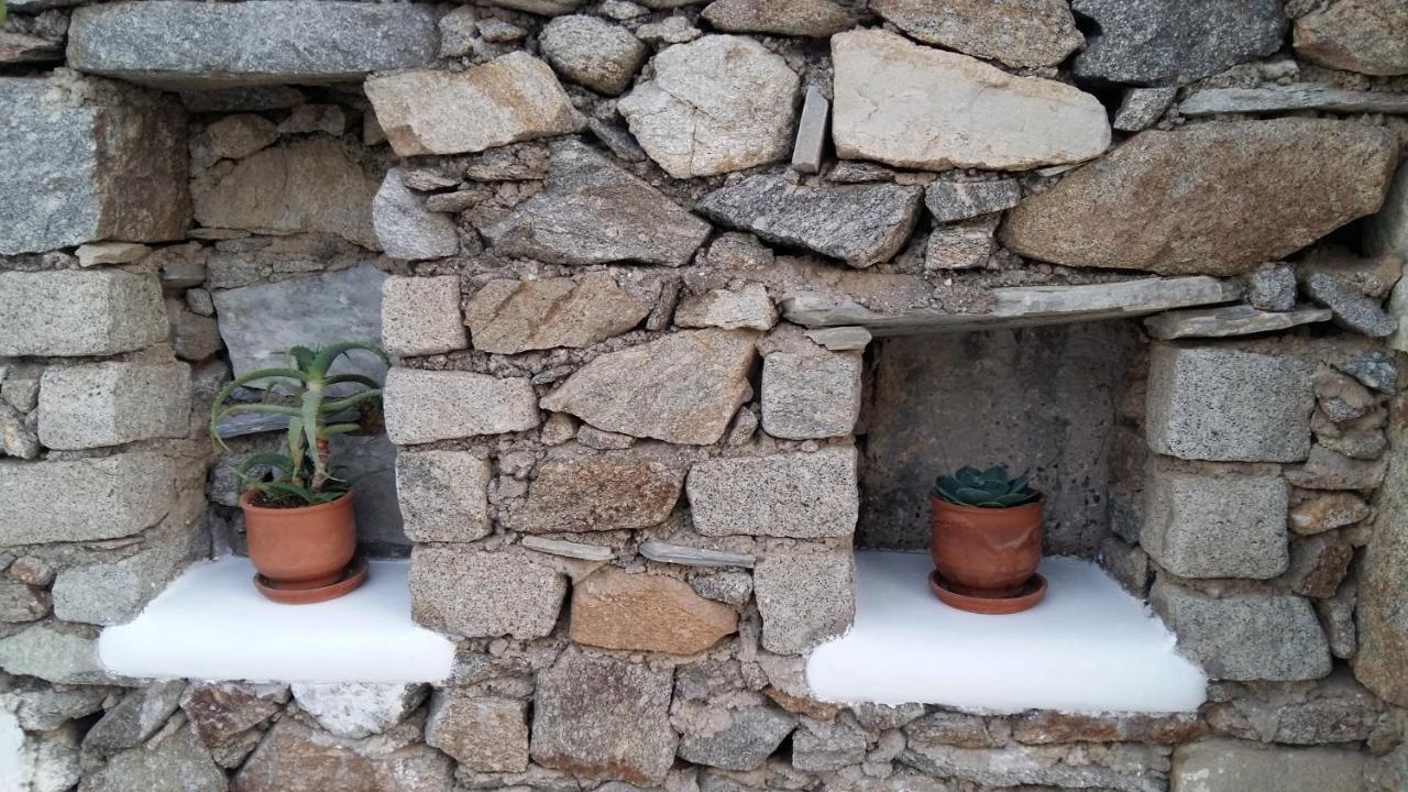 Sunny New Port Mykonos Guest house Tourlos