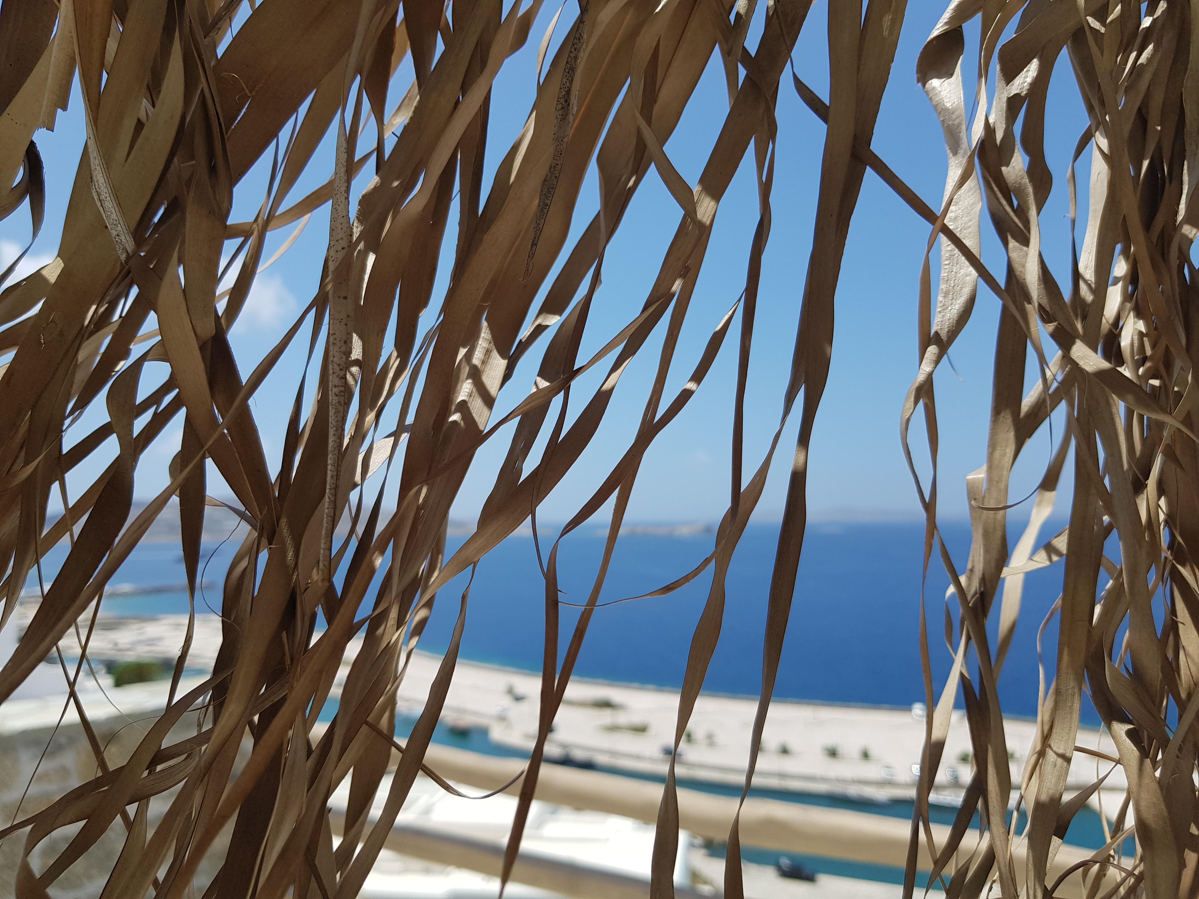 Gorgona Hotel