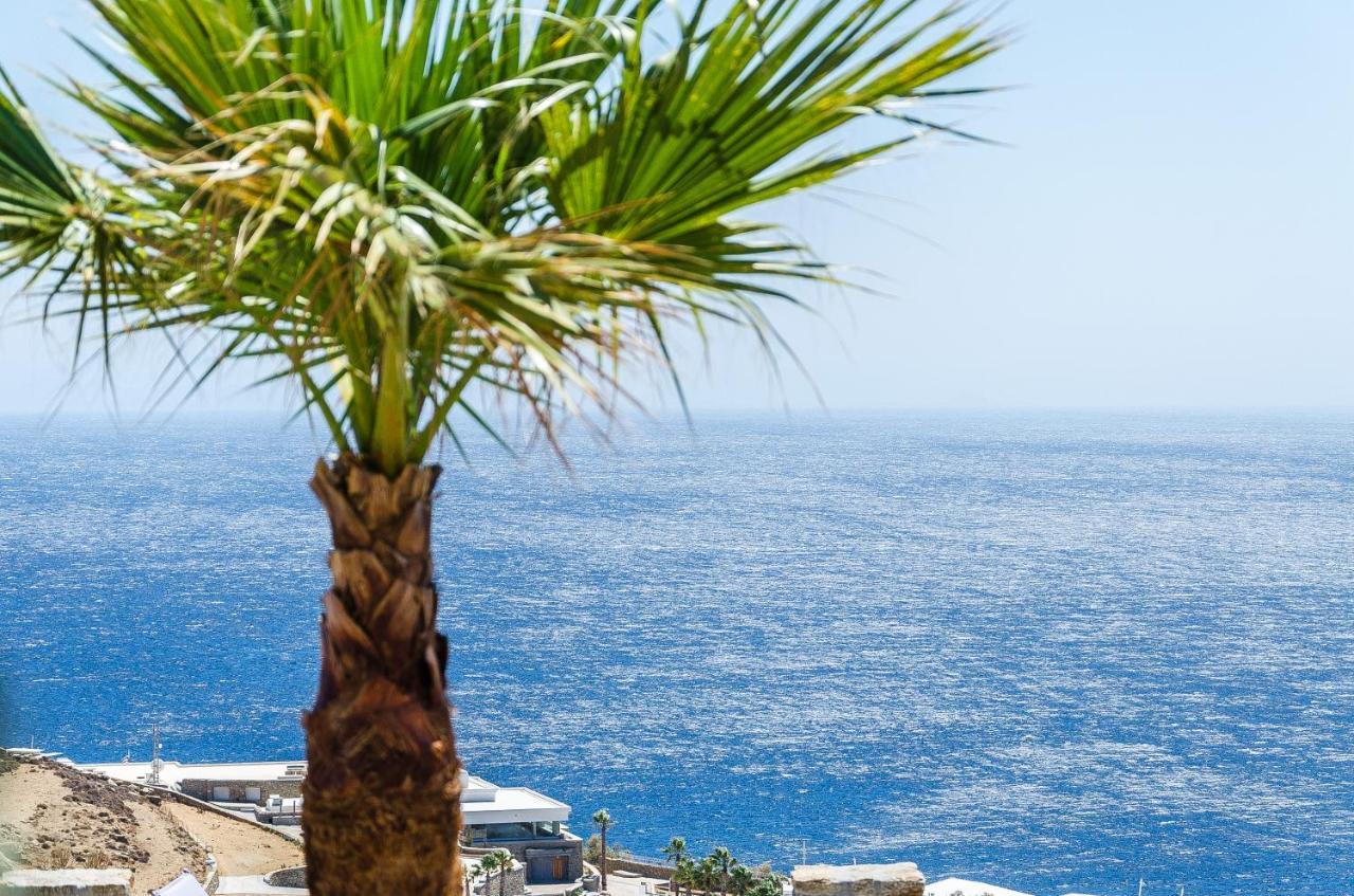 Aparthotel Eden View & 3*