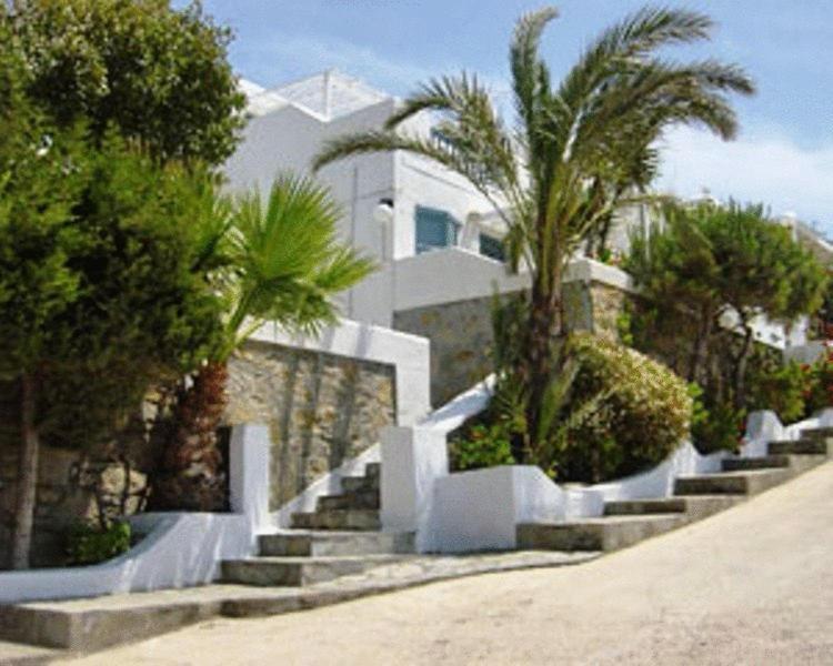 Vista Apartment