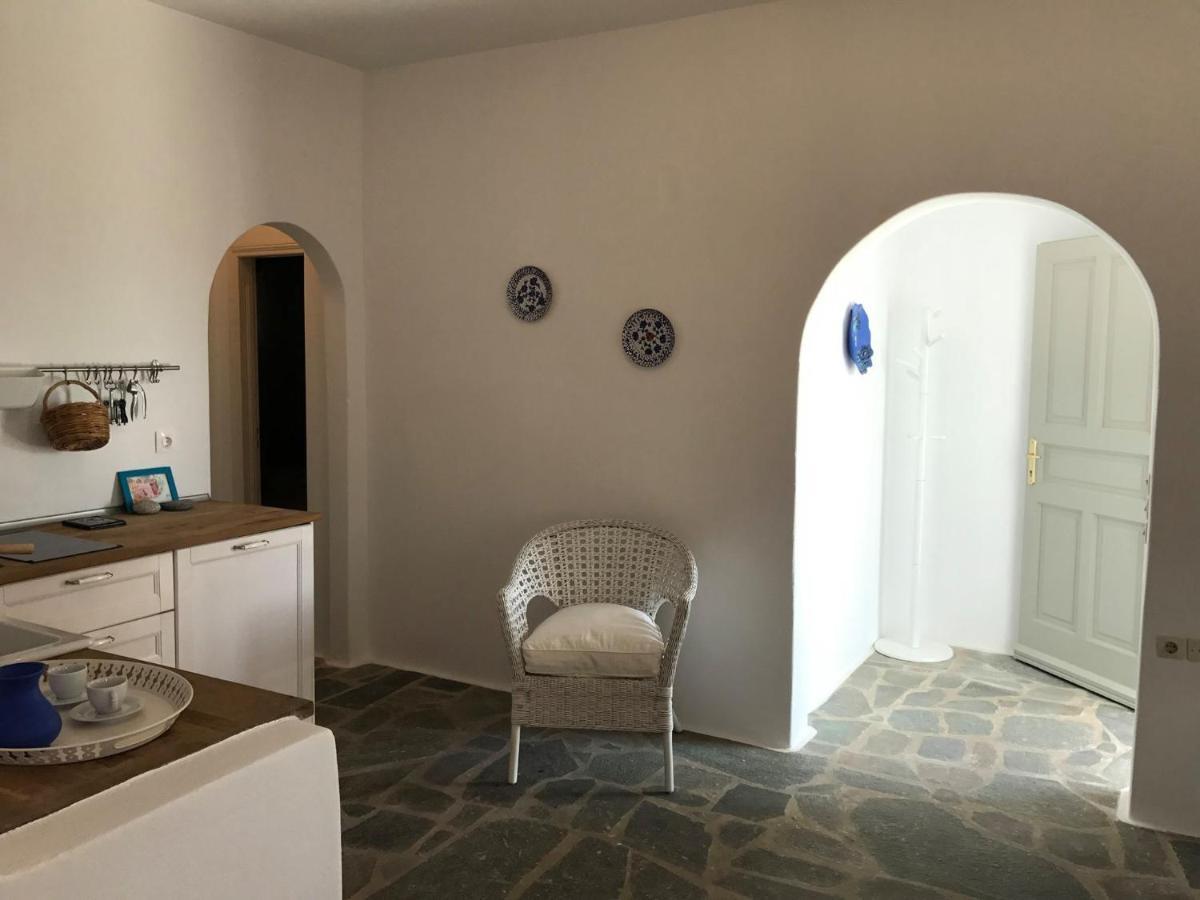 Mykonos Athanasia Seaview Oasis By The Port Appartement