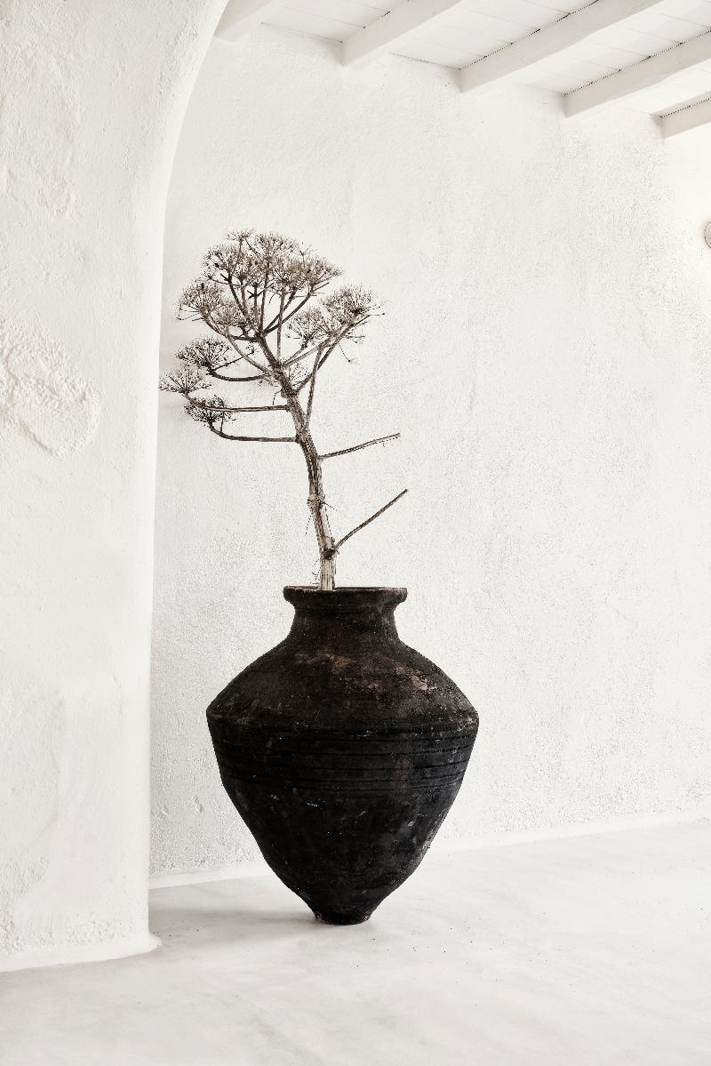 Nomad Mykonos Hotel Kalafatis