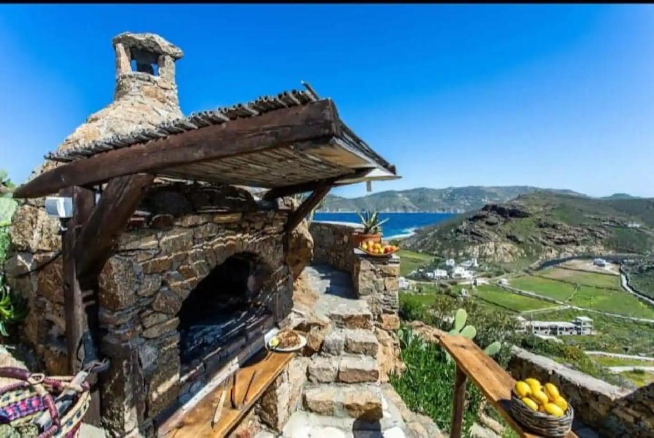Alena Mykonos Villa *