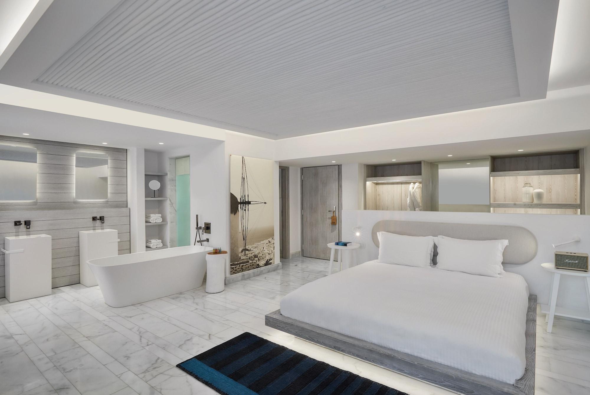 Hotel Mykonos Riviera 5*