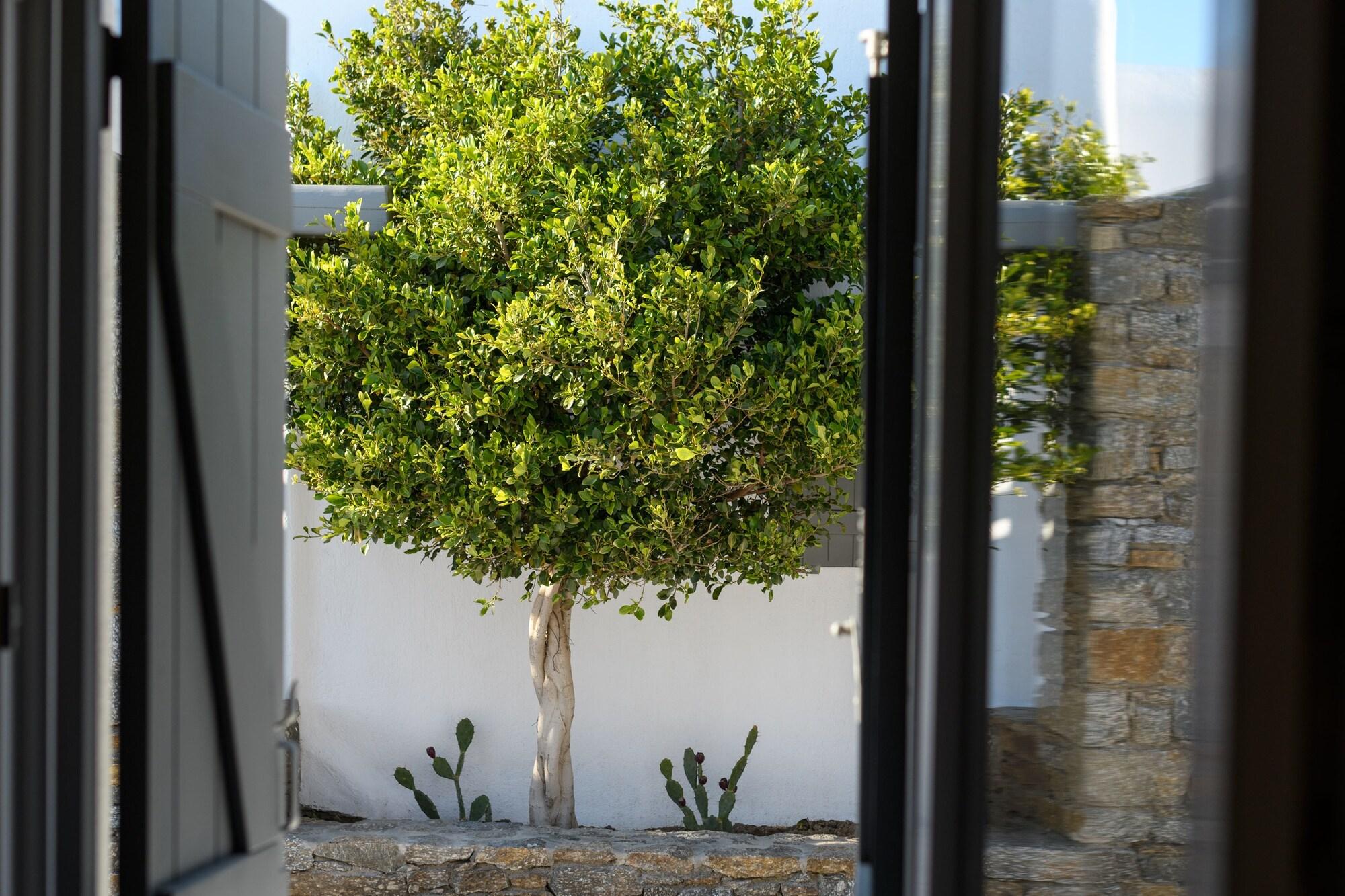 Aparthotel Olive Mykonos