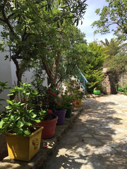Beautiful, Sunny In Mykonos Town