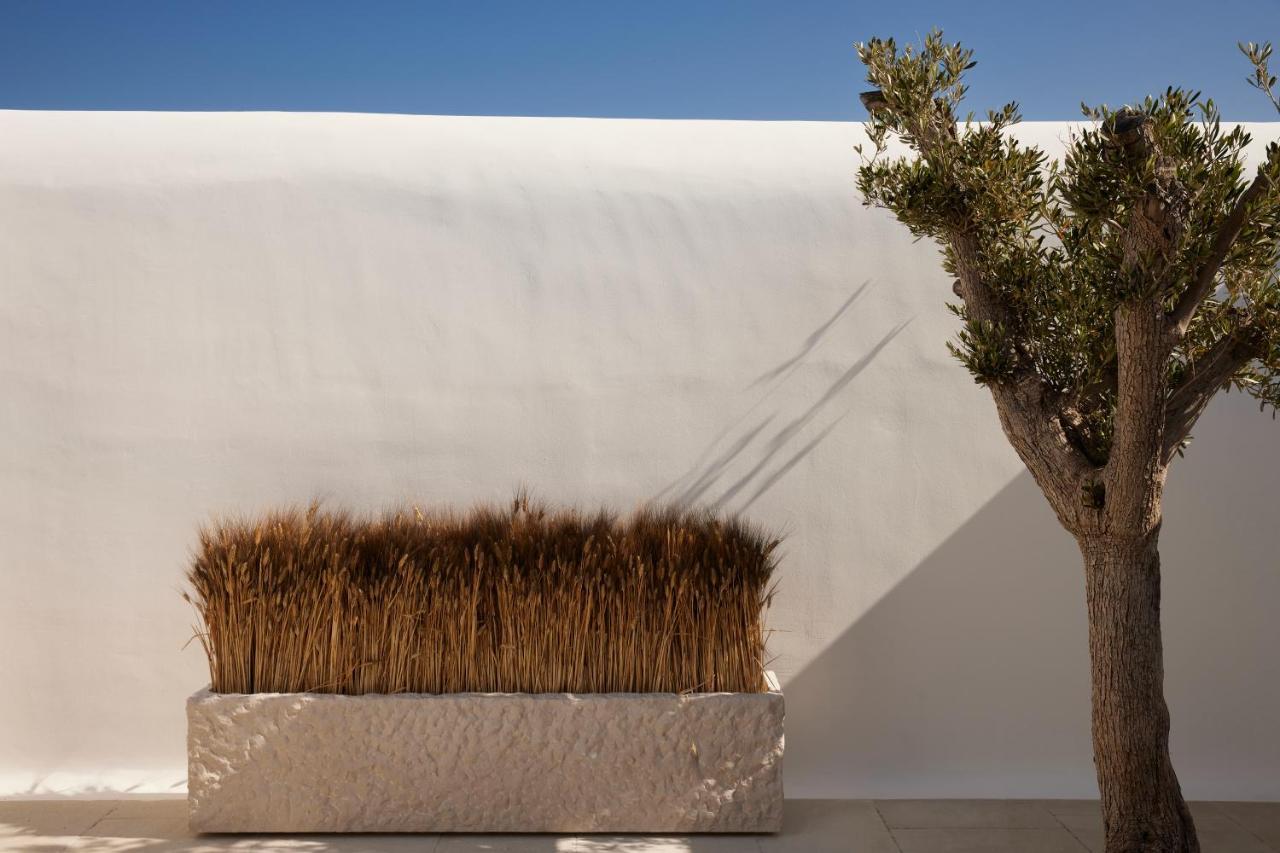 Hotel Kalesma Mykonos 5*